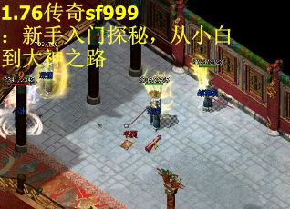 1.76傳奇sf999：新手入門探秘，從小白到大神之路